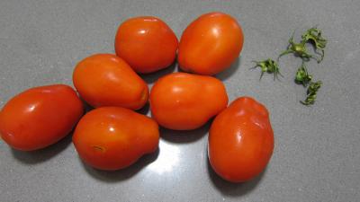 Tartines de pain aux tomates - 1.1