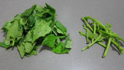 Tétragone en salade - 1.1