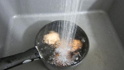 Tétragone en salade - 2.1