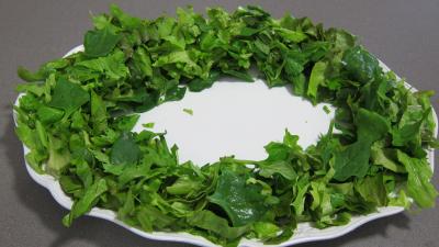 Tétragone en salade - 3.3