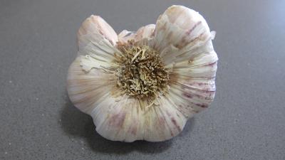 ail