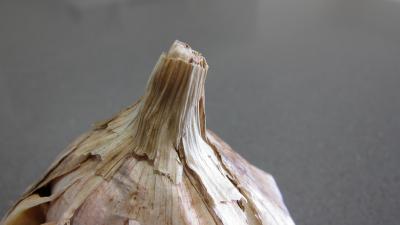 tête de l'ail