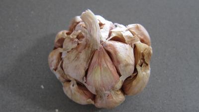 bulbe d'ail