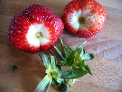 Confiture de poires et fraises - 3.3