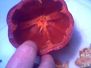 Crème de poivron rouge au boursin - 1.3