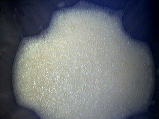 Crèmes renversées - 6.2