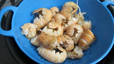 Langoustines et sauce au floc de Gascogne - 5.1