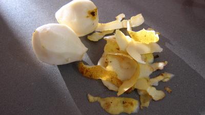 Rhubarbe, croustillants, granité pommes poires - 1.1