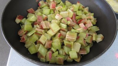 Rhubarbe, croustillants, granité pommes poires - 5.2