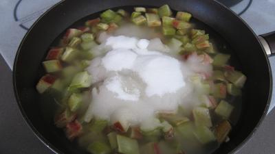 Rhubarbe, croustillants, granité pommes poires - 5.4