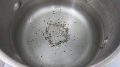 Plats de côtes en bouillon - 1.1