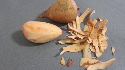 Plats de côtes en bouillon - 2.2