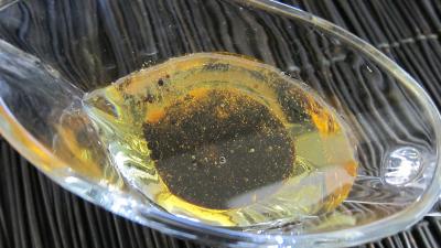 Tabasco en vinaigrette - 2.1