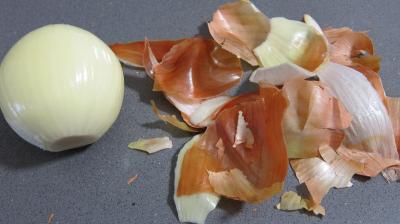 Citrouille et son magret en salade - 1.1