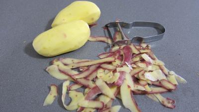 Citrouille et son magret en salade - 2.3