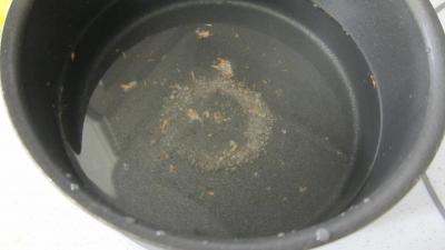 Citrouille et son magret en salade - 5.1