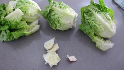 Capelletis et son velouté champignons et laitues - 1.3