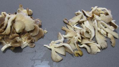 Pleurotes en risotto à la truffe - 1.3