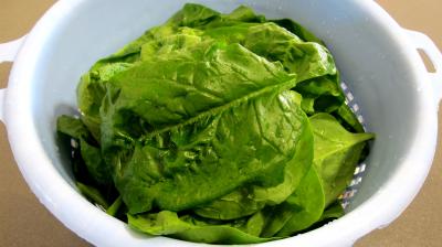 Epinards à la crème fondante et tagliatelles - 1.3