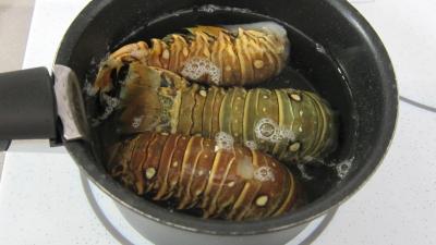 Queues de langoustes en salade - 8.2