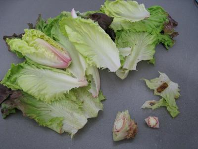 Crêpes en salade aux légumes variés - 1.1