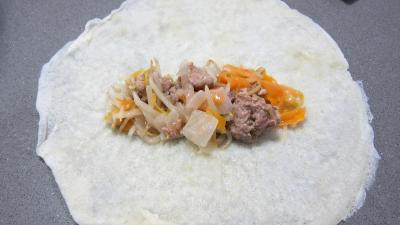 Rouleaux de boeuf et de poulet à la chinoise - 8.1