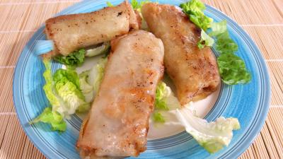 Cuisine chinoise : Assiette de rouleaux de boeuf et de poulet à la chinoise