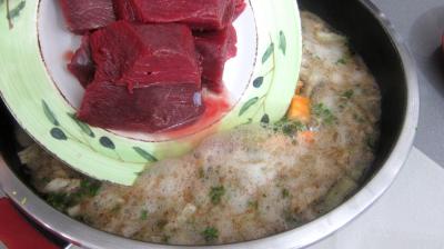 Autruche en bouillon - 6.2