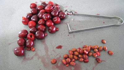 Thon au chou-rave et cerises - 4.2