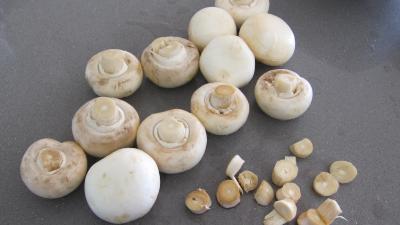 Sauce aux champignons - 1.1