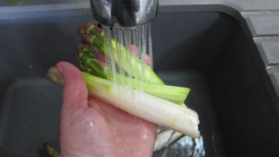Flans d'asperges - 1.2