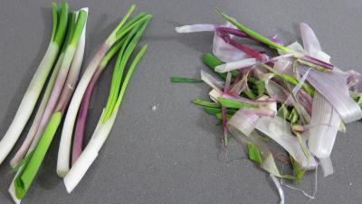 Salade de broutes - 1.3
