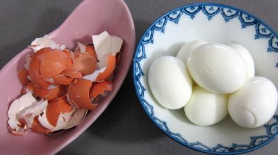 Salade de broutes - 5.2