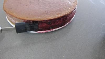 Gâteau aux fromages à la purée fraises, myrtilles, cassis Vitabio - 10.1