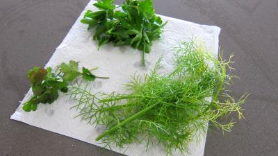Fines herbes et légumes en velouté - 4.4