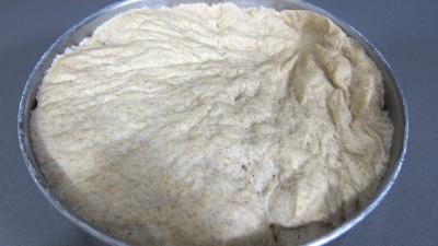 Pain paysan - 5.1
