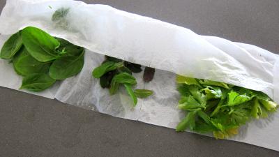 Limandes et sa salade de pousses de bambou et graines germées - 1.3