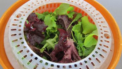 Limandes et sa salade de pousses de bambou et graines germées - 2.3