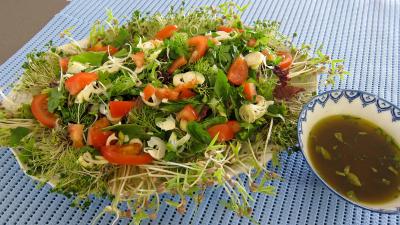 Recette Limandes et sa salade de pousses de bambou et graines germées
