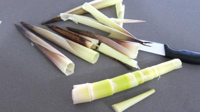 Pousses de bambou et asperges gratinées - 2.1