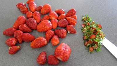 Glace aux fraises - 4.2