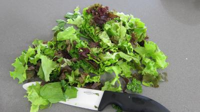 Restes de poulet en salade - 1.3