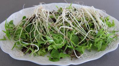 Restes de poulet en salade - 4.2