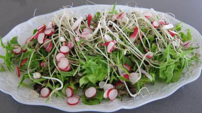 Recette Restes de poulet en salade