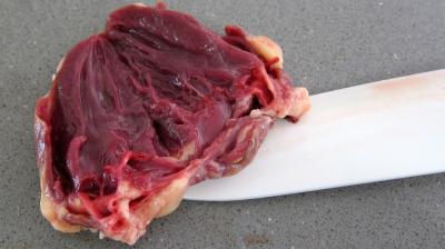 Laitue et pommes de terre en purée et ses coeurs de canard - 3.1