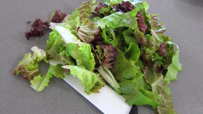 Magrets en brochettes à la plancha en salade - 1.3