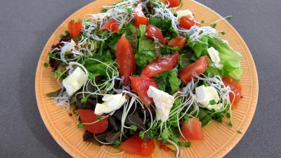 Magrets en brochettes à la plancha en salade - 3.3