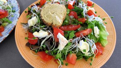Magrets en brochettes à la plancha en salade - 4.2