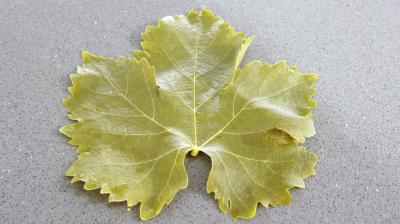 Dolmas aux épinards revisités - 9.1