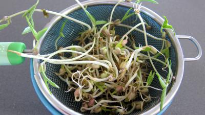 Salade tiède de poisson - 1.2